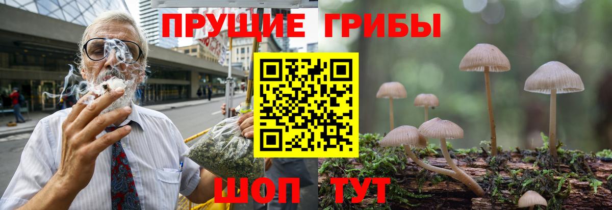 Псилоцибиновые грибы Psilocybe  Вход с VPN  Орехово-Зуево 